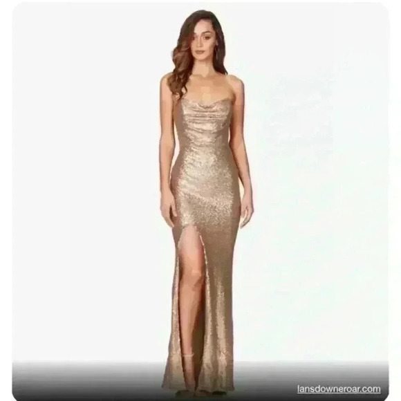 Nookie Valentina Gown size large (color: Bronze) - Picture 1 of 7